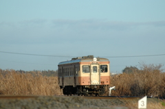 ススキの原を行く