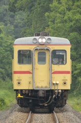 深緑とクリーム色