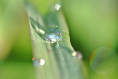 水玉の焦点