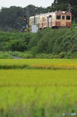 朝列車が行く
