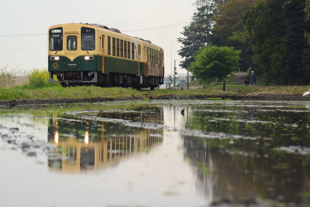 中根駅の朝風景