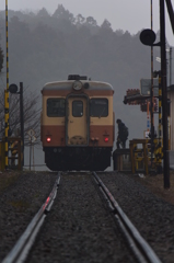 しっとりと雨