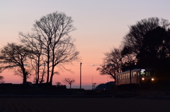 朱鷺色の空