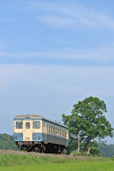 夏空の下