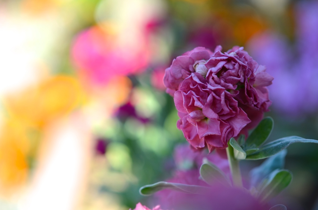 秋、優しい一日