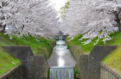 シンメトリー