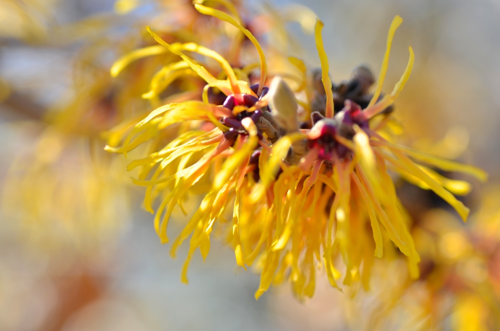 暖かくなったね！