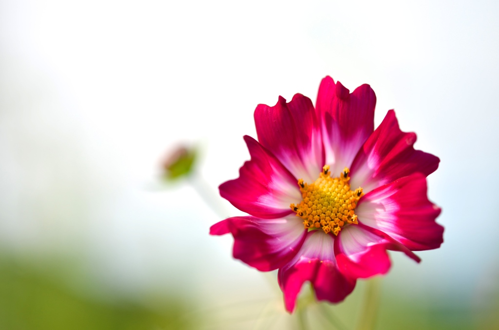 元気をもらう♬