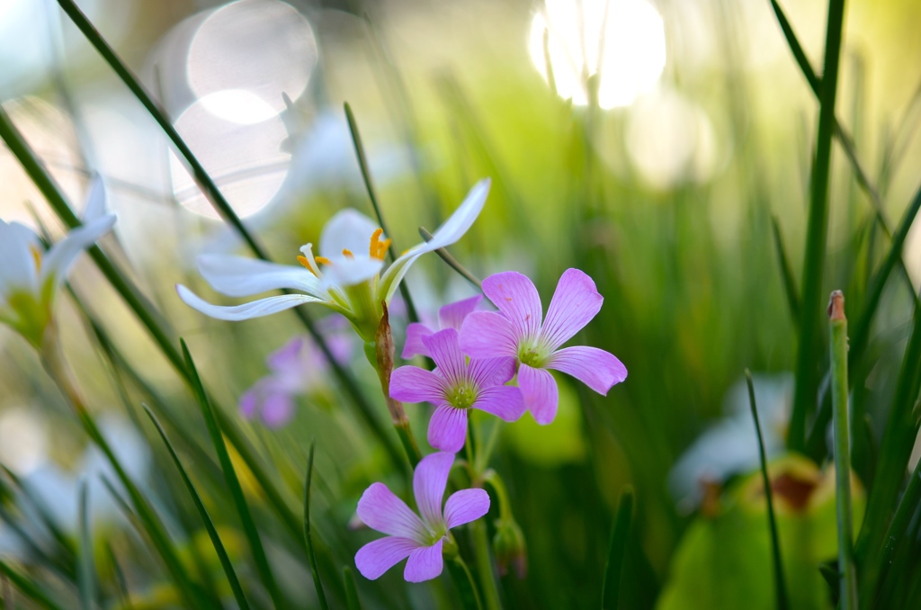 優しい気持ち♡
