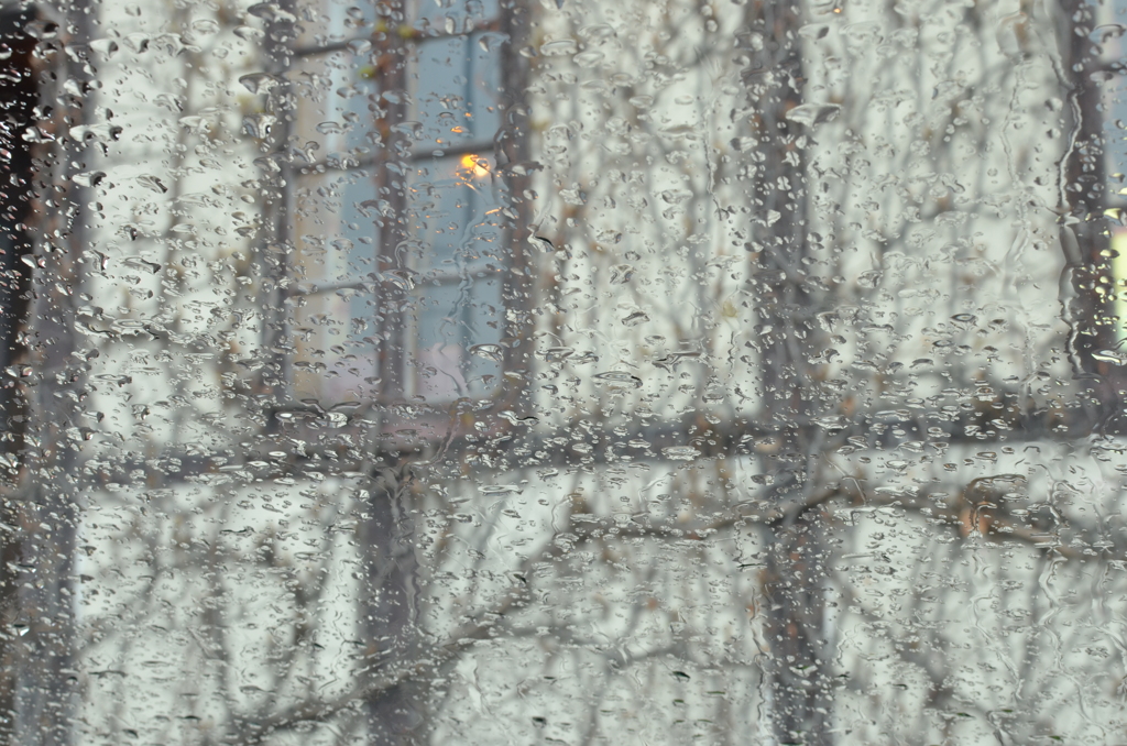 いくつかの想い出