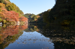 湖畔の秋