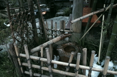 かぽーん