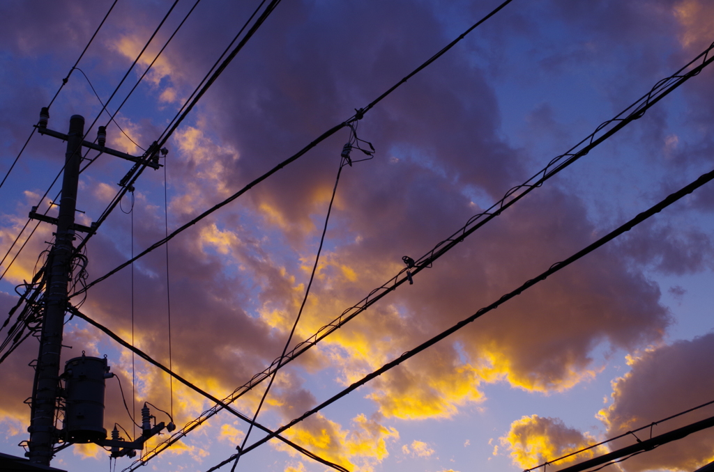 心臓に愛を刺して