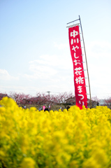 はなまつり