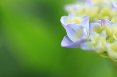 もうすぐ雨の季節・・・