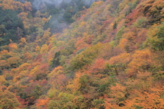 丹波山の秋Ⅳ