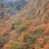 丹波山の秋Ⅳ