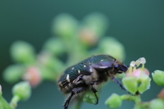 朝ご飯中・・・