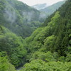 煙草の煙！