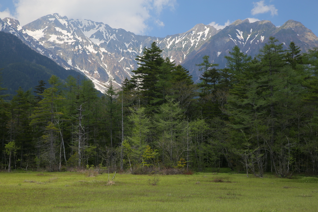 田代湿原