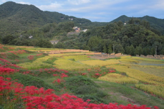残したい光景