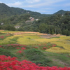 残したい光景