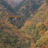 紅葉架け橋