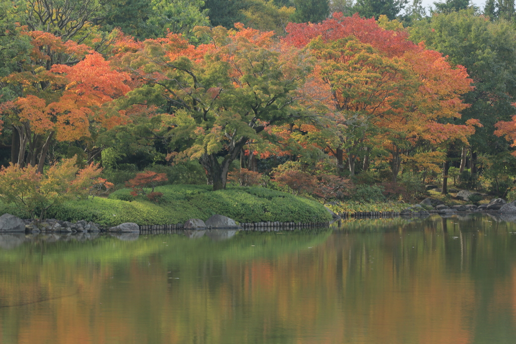 紅葉入口