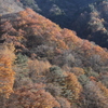 安堵Ⅱ