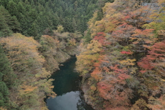 錦秋