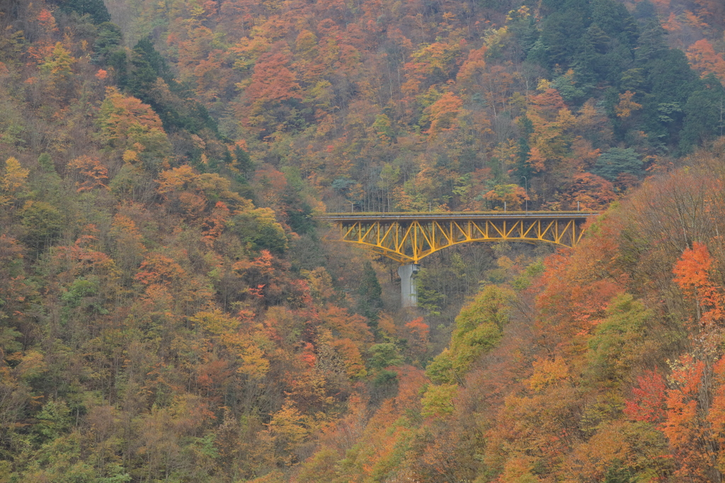 紅葉架け橋