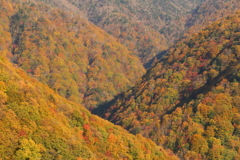 秋景色Ⅱ