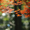 道端・・・