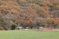 里山の秋