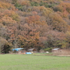 里山の秋