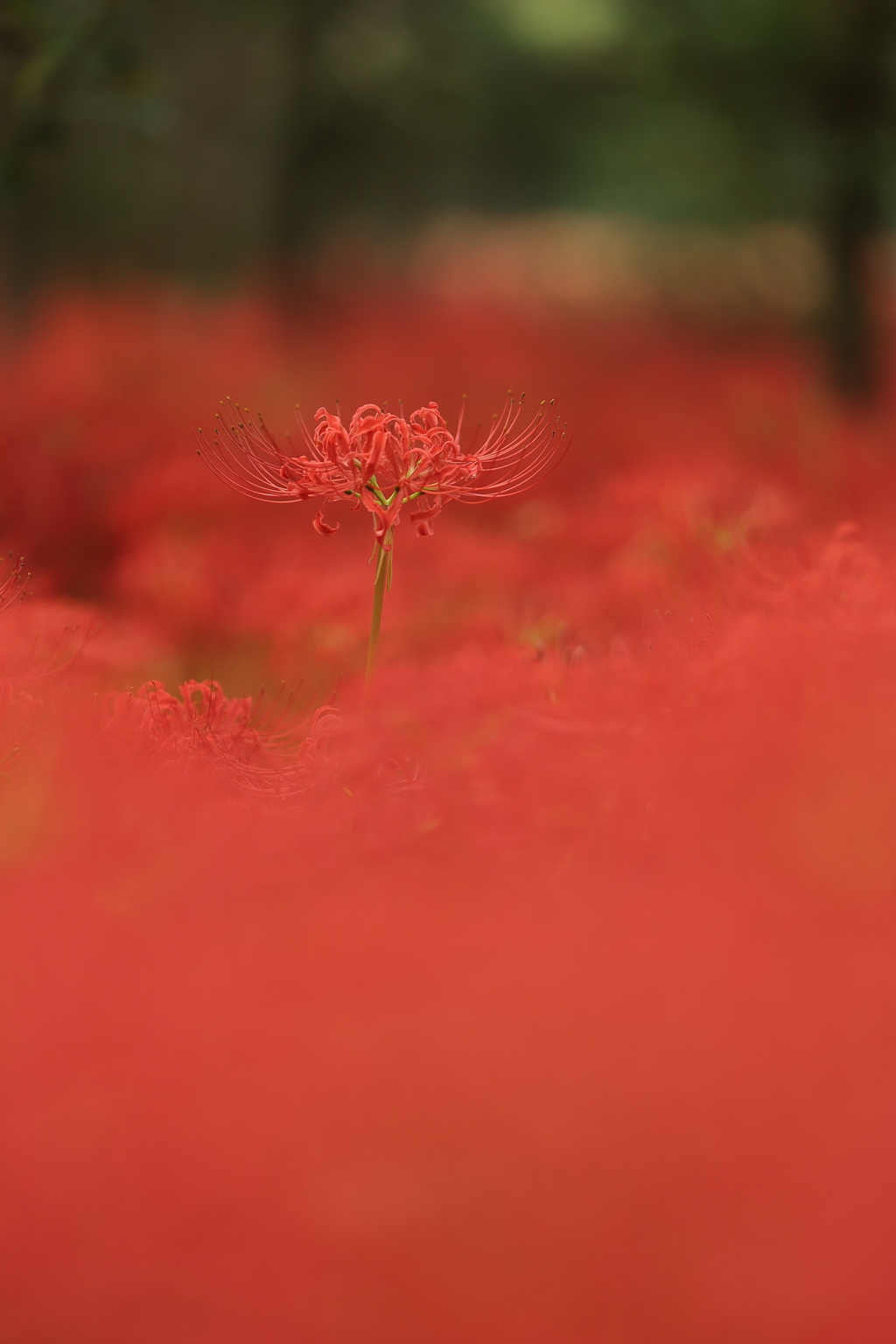 深淵