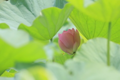 少し待ってね