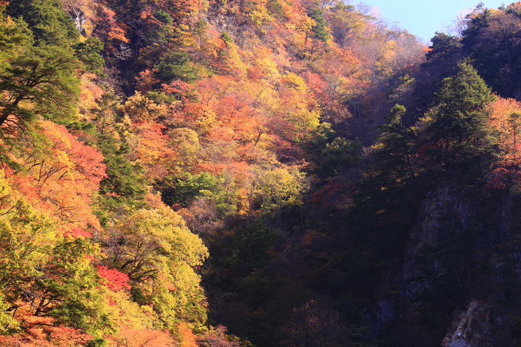 中津峡（埼玉県秩父市）