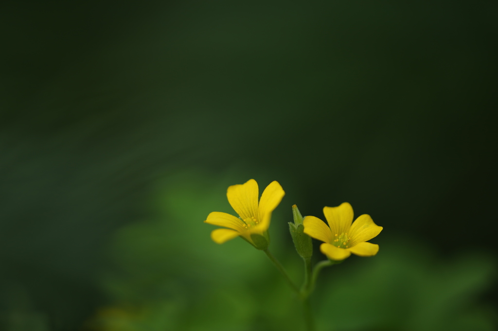 君の名は・・・