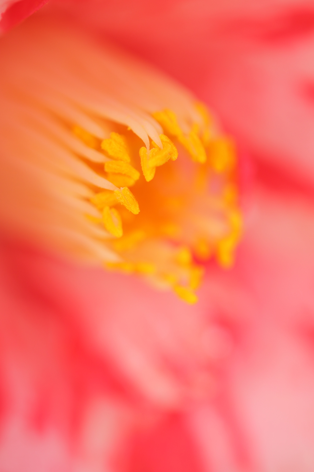 溶