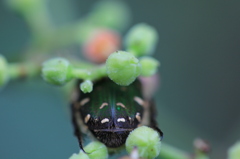 食事終わりましたので、ケツ礼します・・・