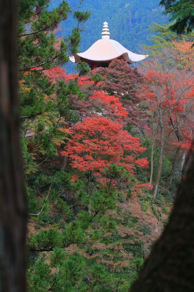 鳥居観音