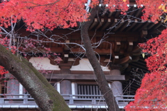 高幡不動尊