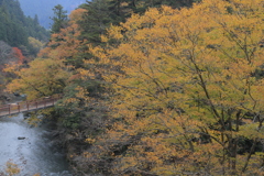秋川渓谷の秋色