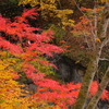 中津峡の秋Ⅱ