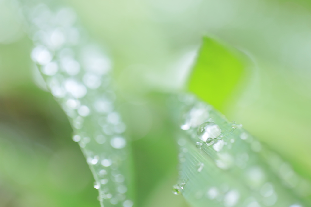 雨滴宝石