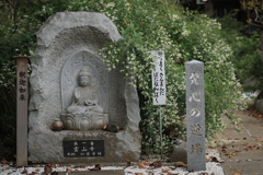 洗心