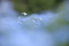 霧の彼方に