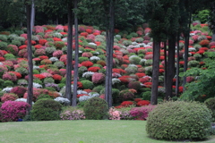 安堵
