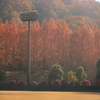 秋日和